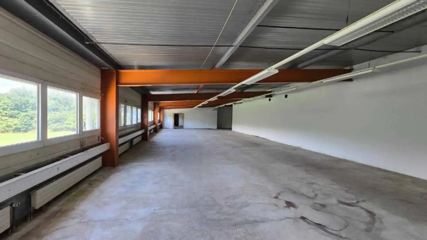 Commerciale in affitto - Chemin De La Venoge 5, 1030 Bussigny - Foto 2