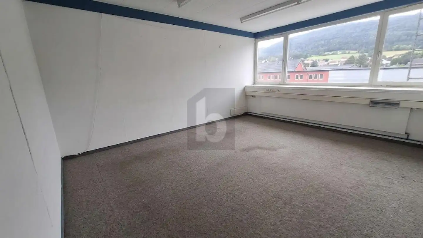 Commercial for rent - 2854 Bassecourt - Photo 4