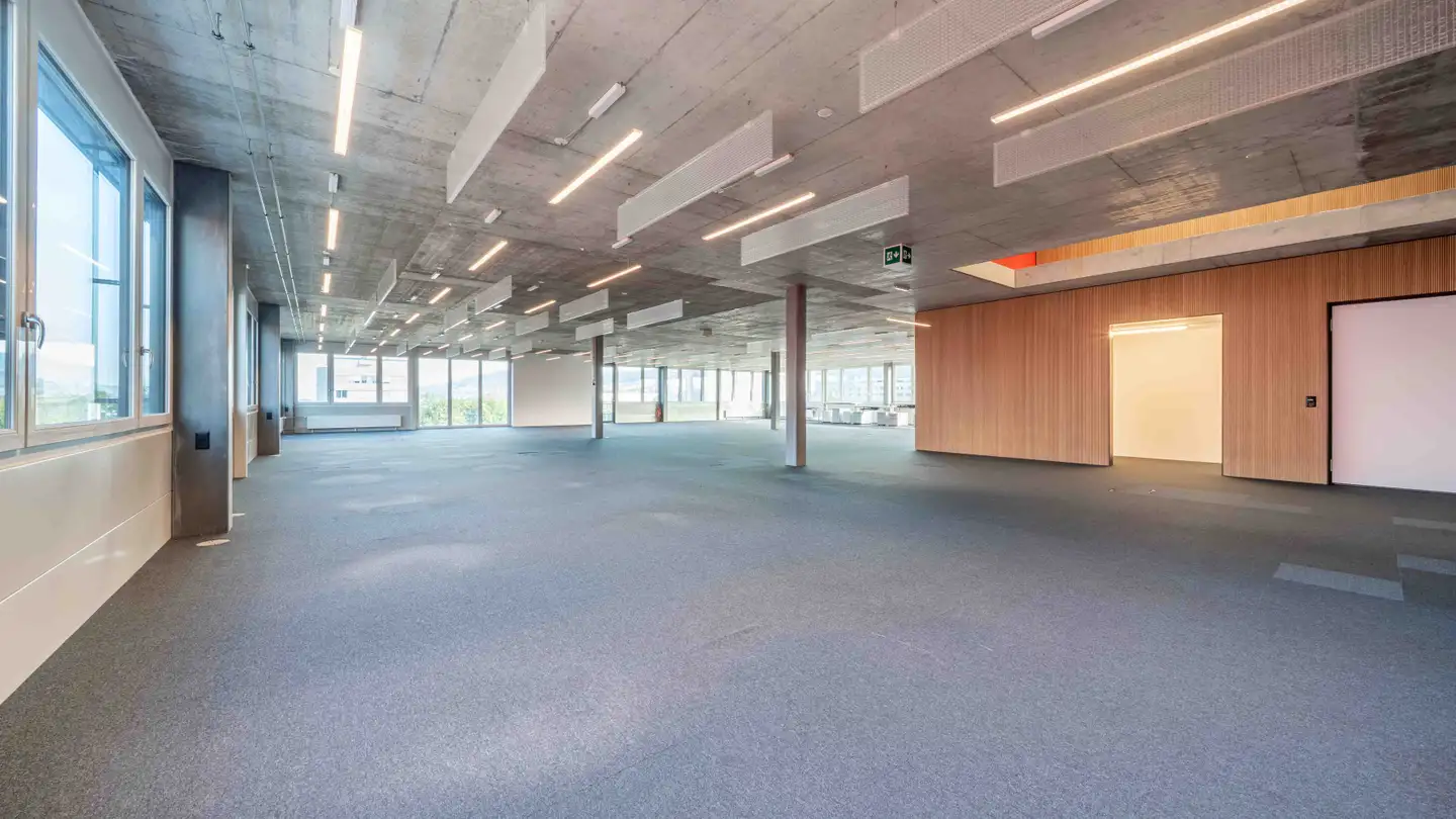 Commercial for rent - Wassergrabe 14, 6210 Sursee - Photo 4