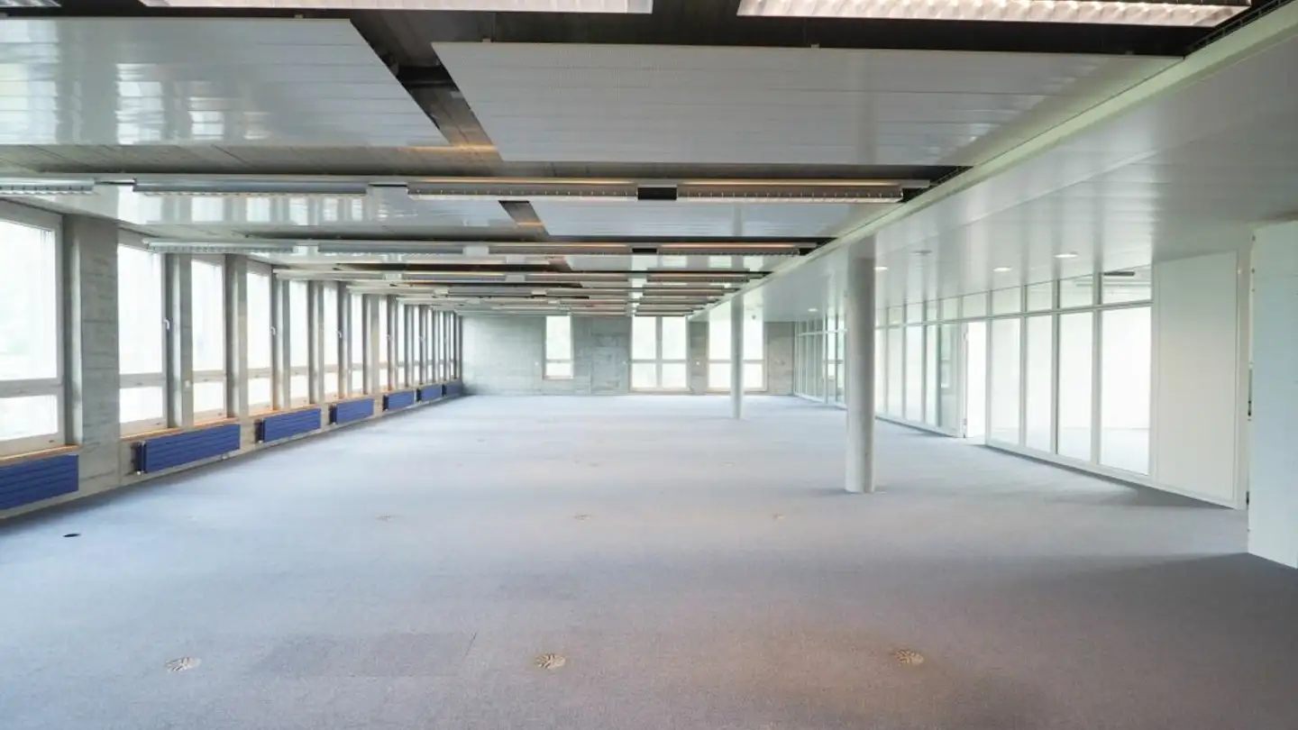 Office space for rent - Werdenstrasse 85, 9472 Grabs - Photo 2