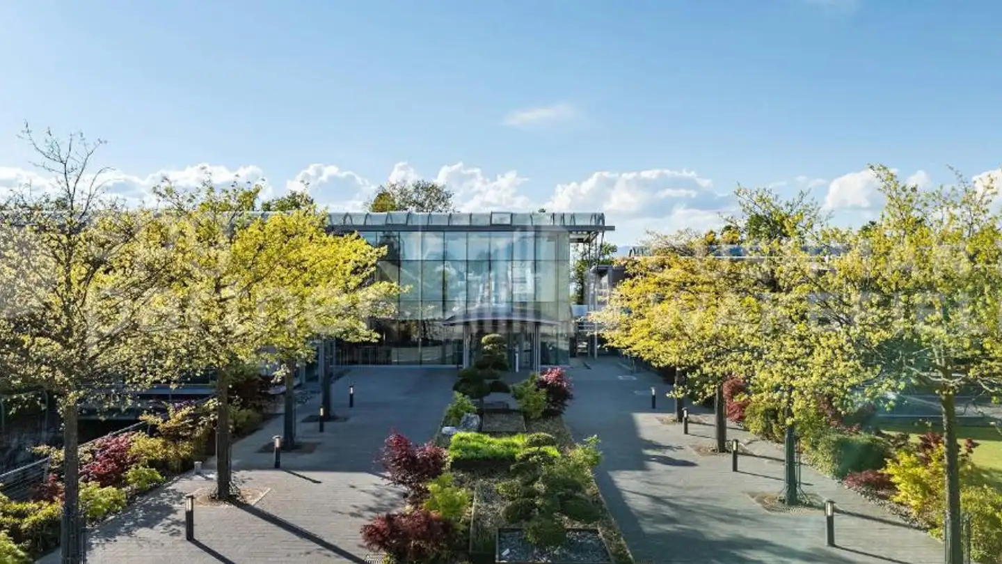 Office space for rent - 1245 Collonge-Bellerive