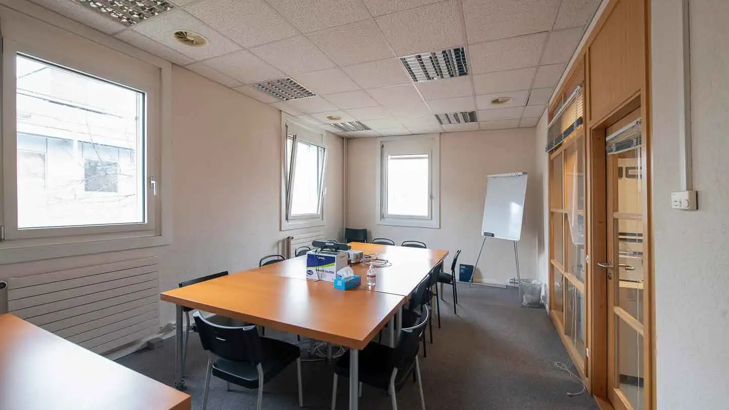 Bürofläche mieten - Chemin Des Aulx 16, 1228 Plan-les-Ouates