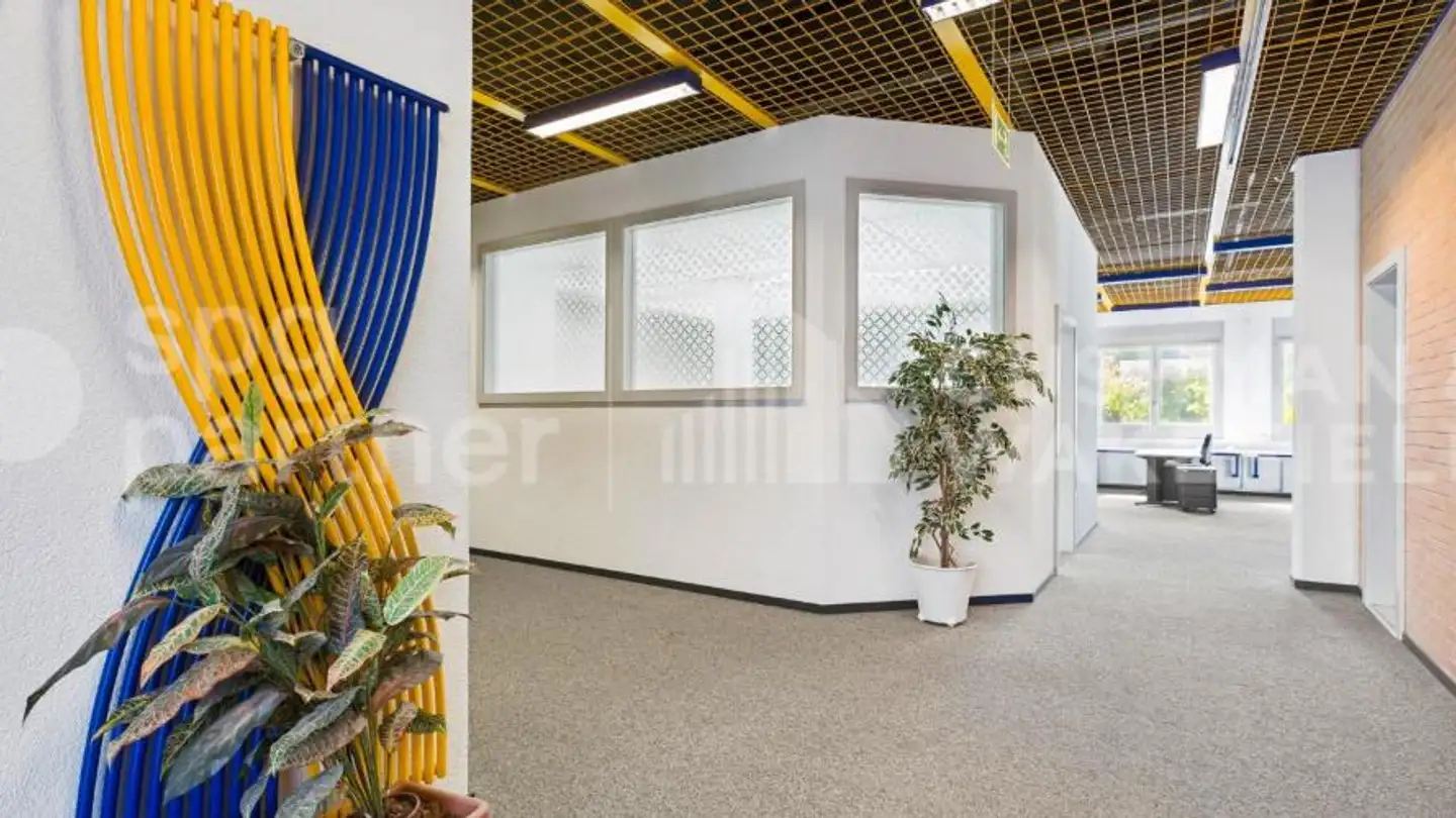 Office space for rent - Chemin Du Grand-Puits 42, 1217 Meyrin - Photo 4
