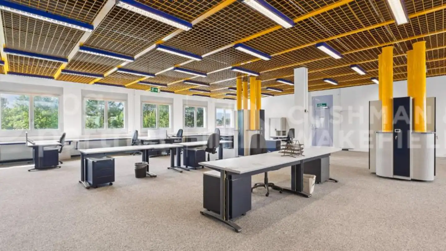 Office space for rent - Chemin Du Grand-Puits 42, 1217 Meyrin - Photo 3