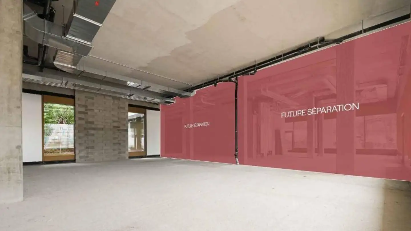 Magasin à louer - Pont de Carouge, 1227 Genève - Photo 2
