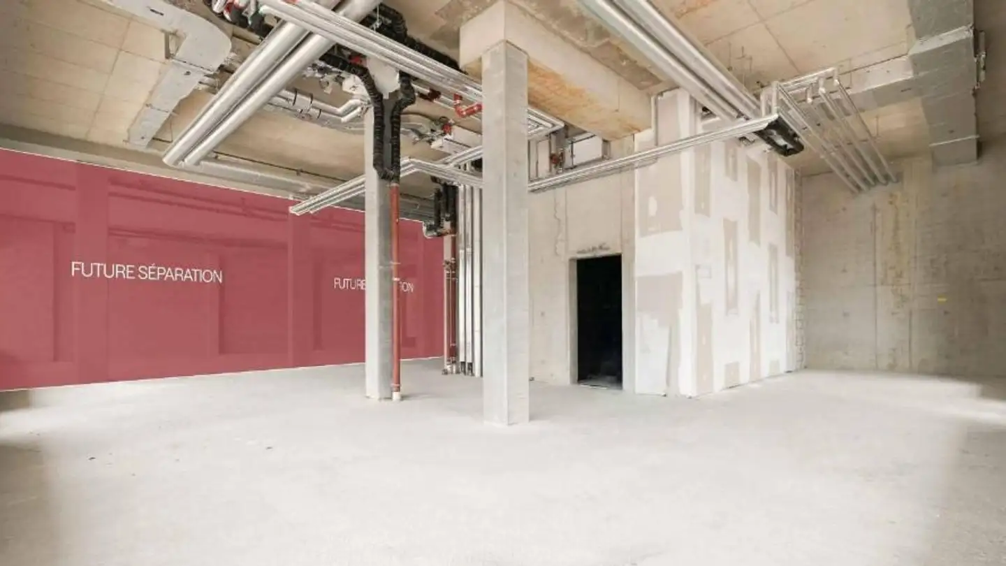 Shop for rent - Pont de Carouge, 1227 Genève
