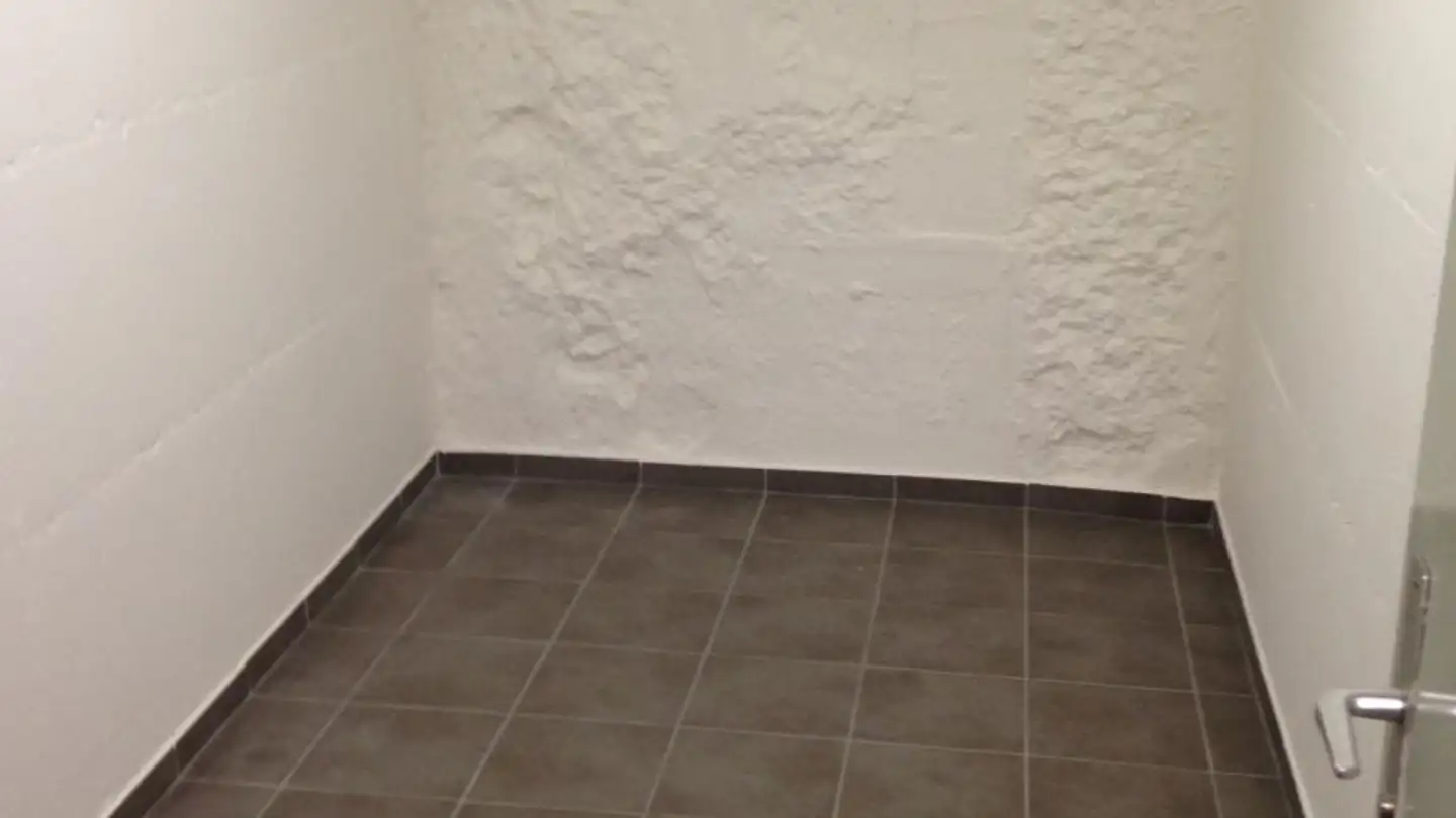 Lagerraum mieten - Rue Du Gothard 15, 1225 Chêne-Bourg - Foto 3