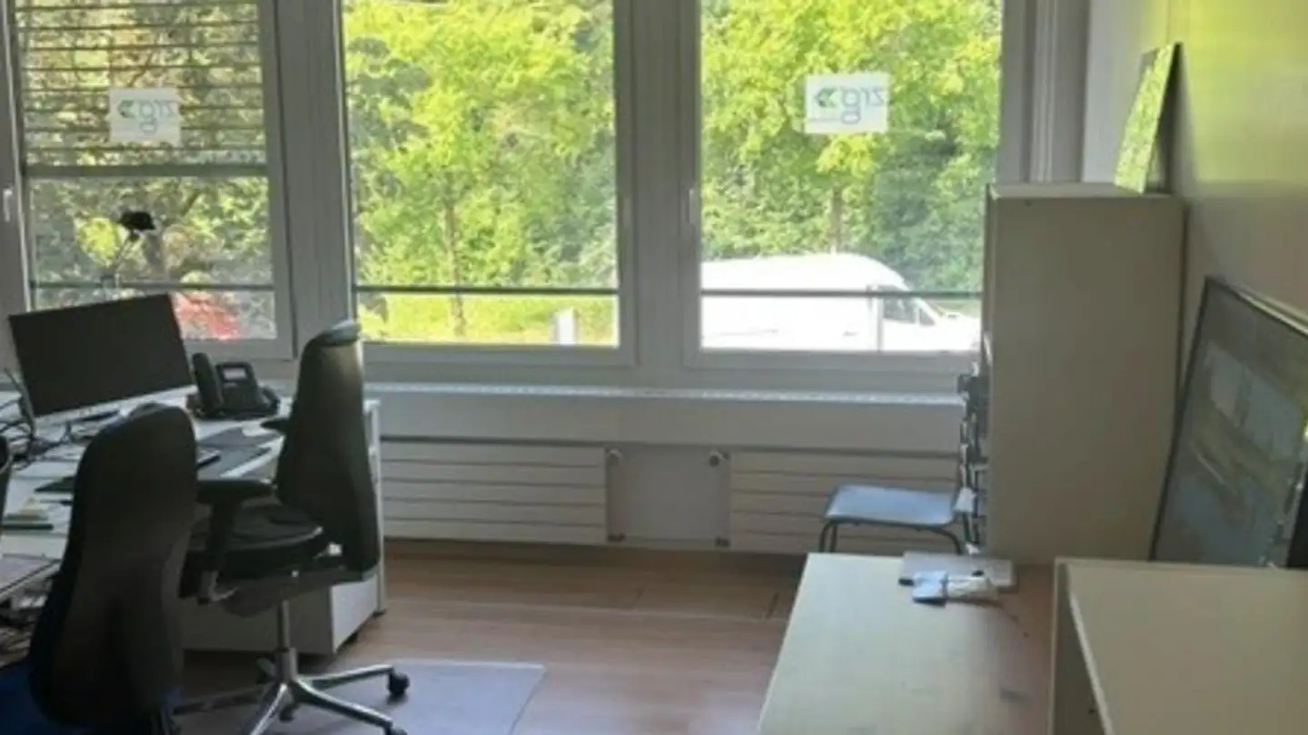 Commercial for rent - Chemin Des Vignes 3, 1260 Nyon - Photo 4