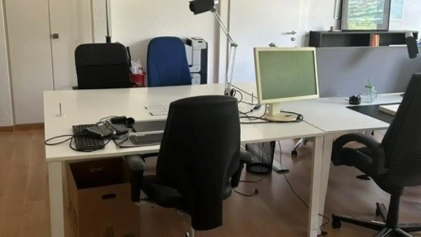 Commercial for rent - Chemin Des Vignes 3, 1260 Nyon - Photo 2