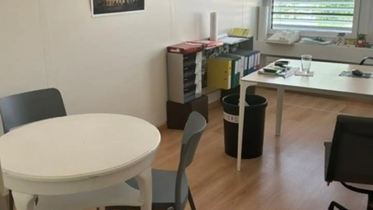 Commercial for rent - Chemin Des Vignes 3, 1260 Nyon - Photo 4