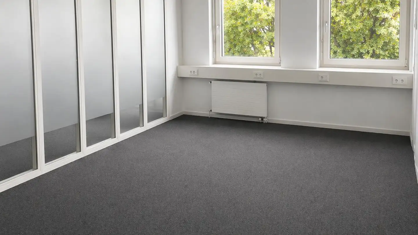 Office space for rent - Am Kägenrain 3, 4153 Reinach BL - Photo 4