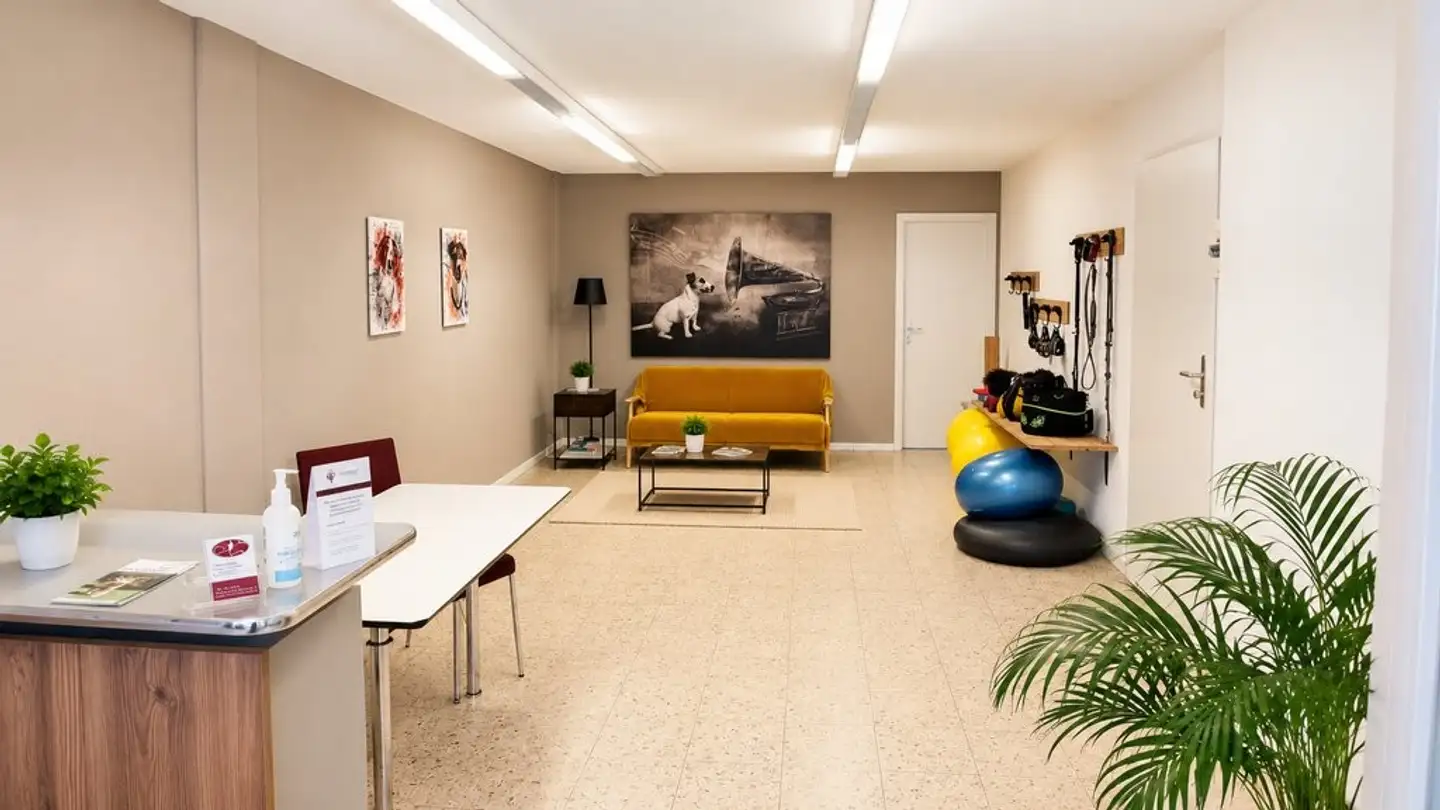 Magasin à louer - Hauptstrasse 6a, 9030 Abtwil SG - Photo 3