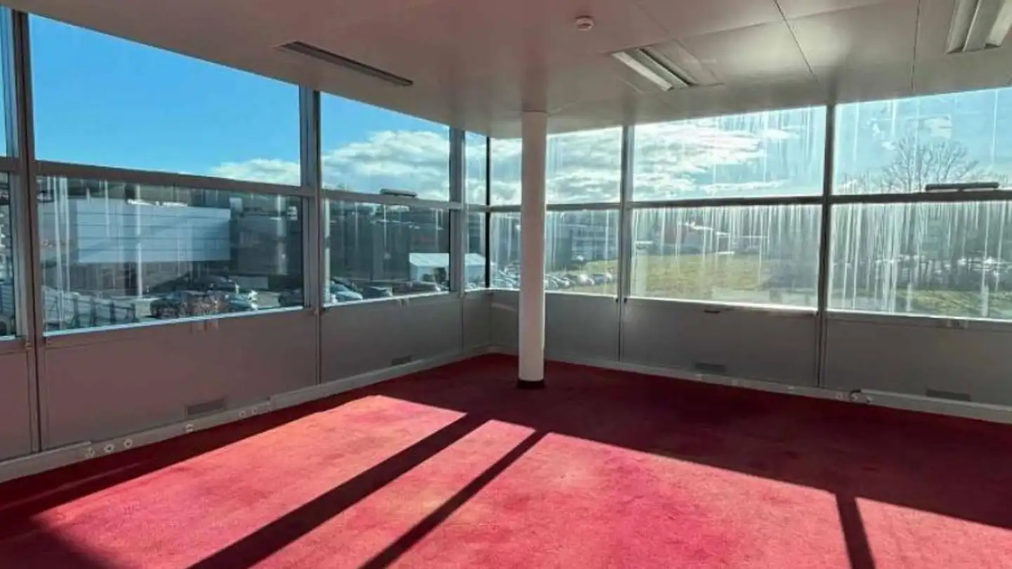Office space for rent - Chemin Du Pavillon 5, 1218 Le Grand-Saconnex - Photo 4