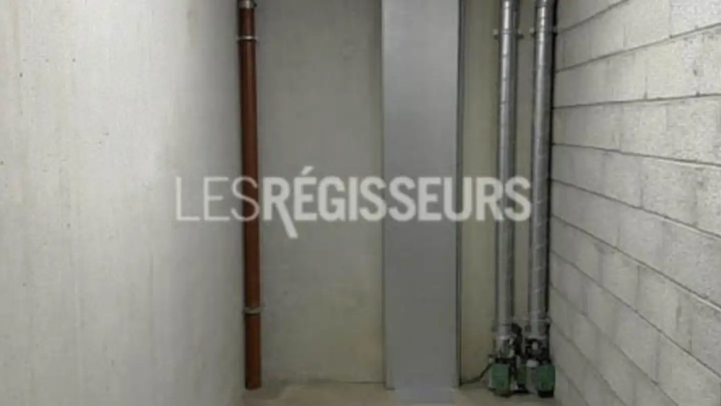 Storage space for rent - Chemin De La Chevillarde 49, 1224 Chêne-Bougeries - Photo 3