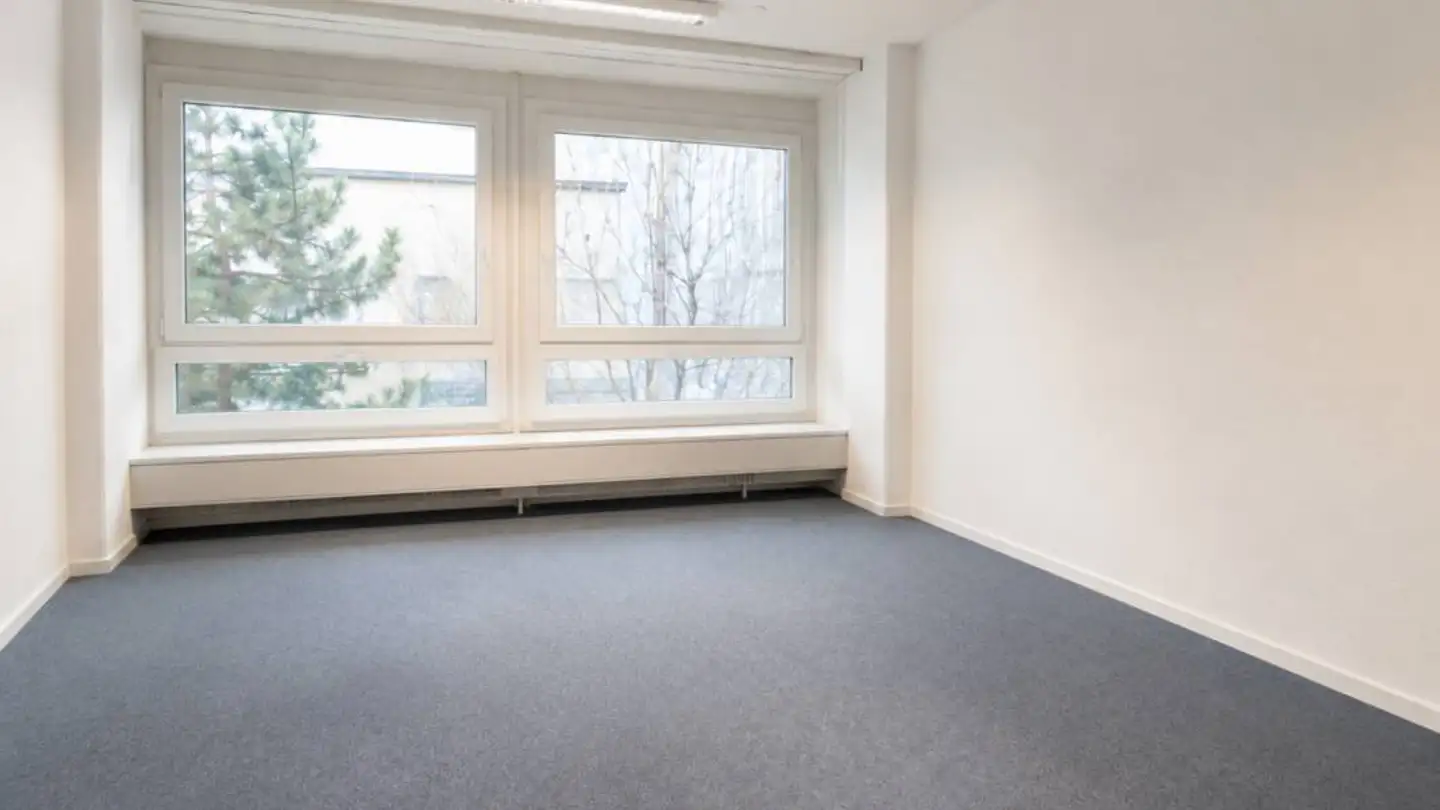 Bürofläche mieten - Rautistrasse 12, 8047 Zürich - Foto 2