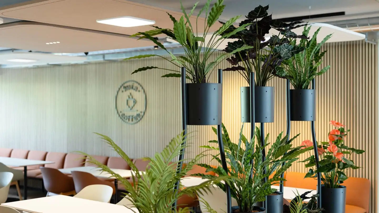 Office space for rent - Rue Du Puits-Godet 8, 2000 Neuchâtel