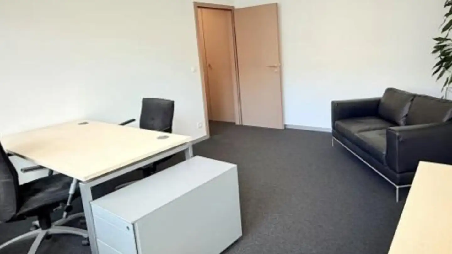 Office space for rent - Boulevard Helvétique, 1207 Genève - Photo 4