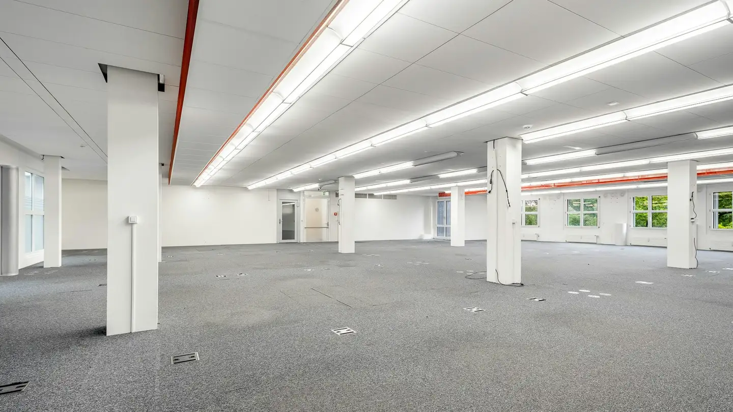 Commercial à louer - Lerzenstrasse 10, 8953 Dietikon - Photo 2