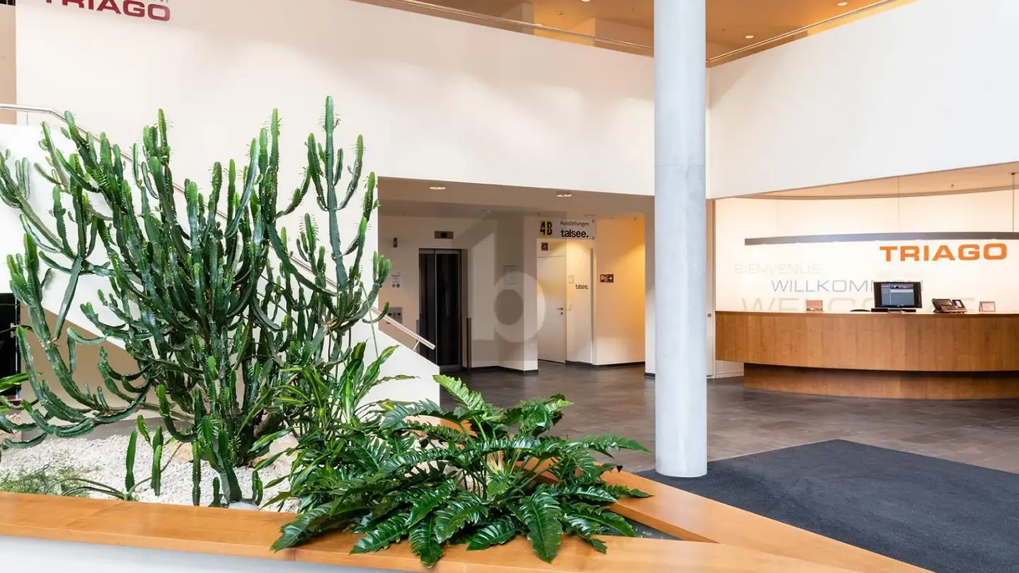 Office space for rent - 4133 Pratteln - Photo 3