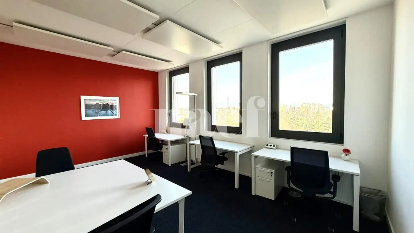 Bürofläche mieten - Rue Du Bois-Du-Lan 14, 1217 Meyrin - Foto 4
