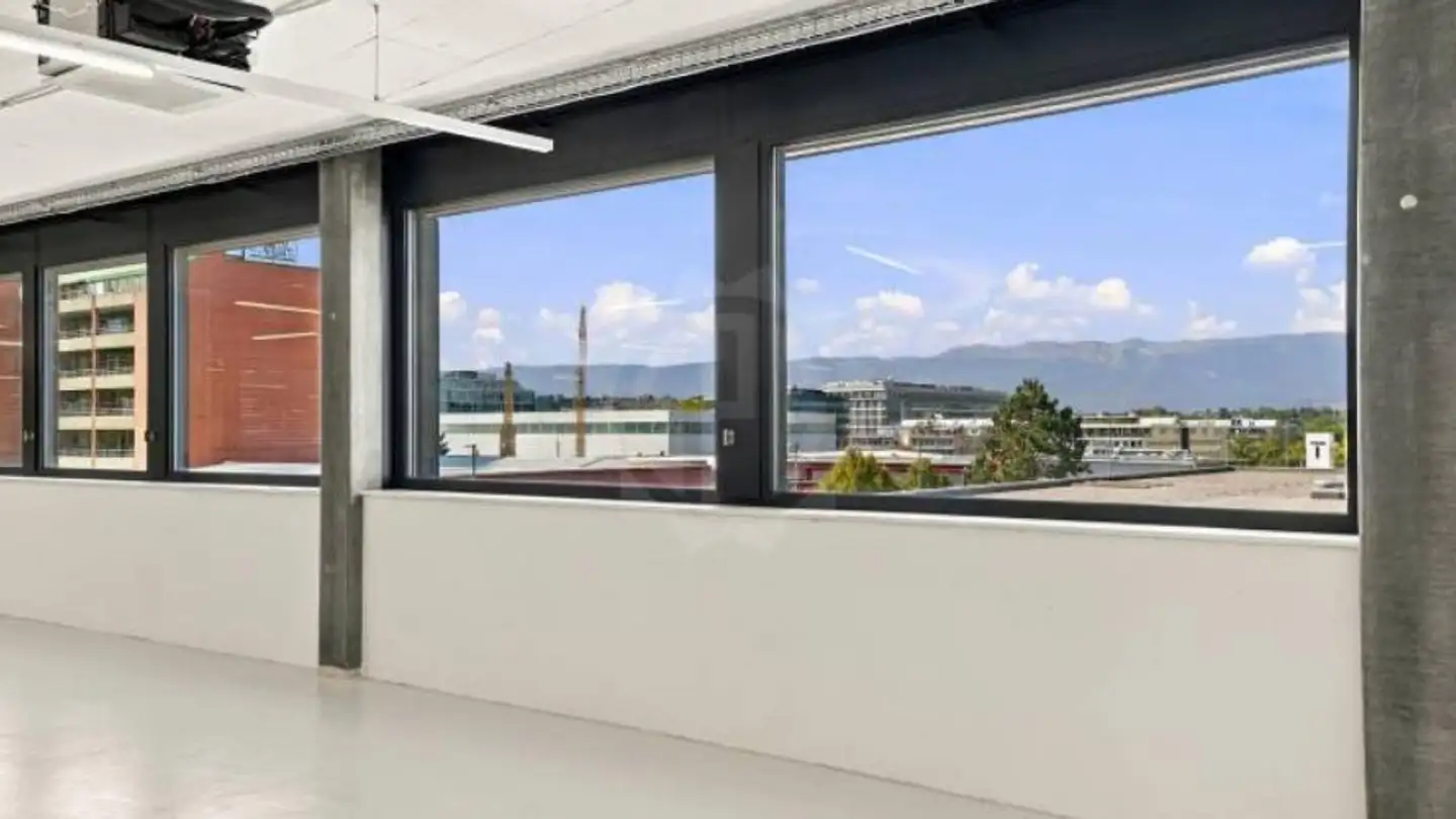 Commercial à louer - Rue Du Champ-Blanchod 4, 1228 Plan-les-Ouates - Photo 4