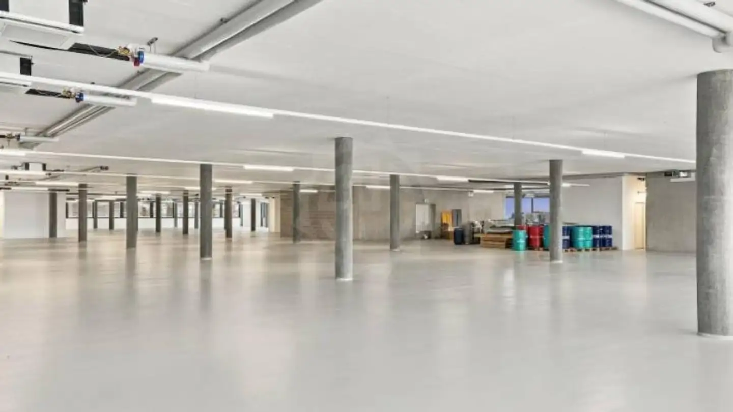 Commerciale in affitto - Rue Du Champ-Blanchod 4, 1228 Plan-les-Ouates - Foto 4