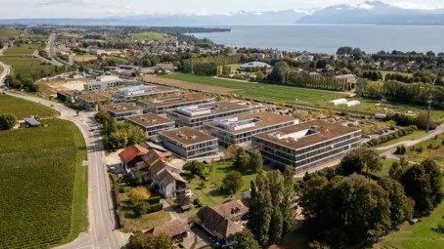 Bürofläche mieten - Zone Artisanale La Pièce 4, 1180 Rolle