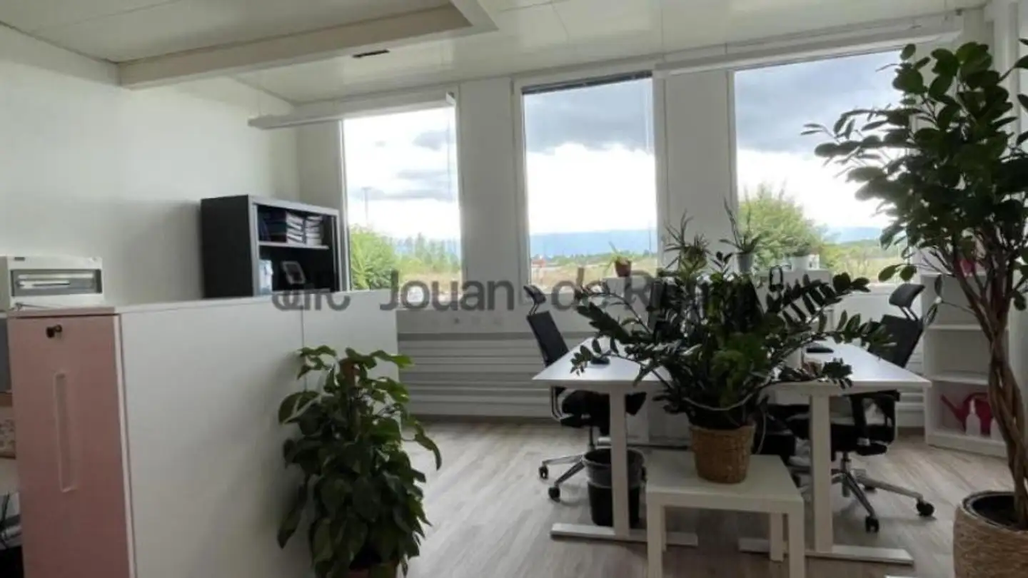 Office space for rent - 1228 Plan-les-Ouates