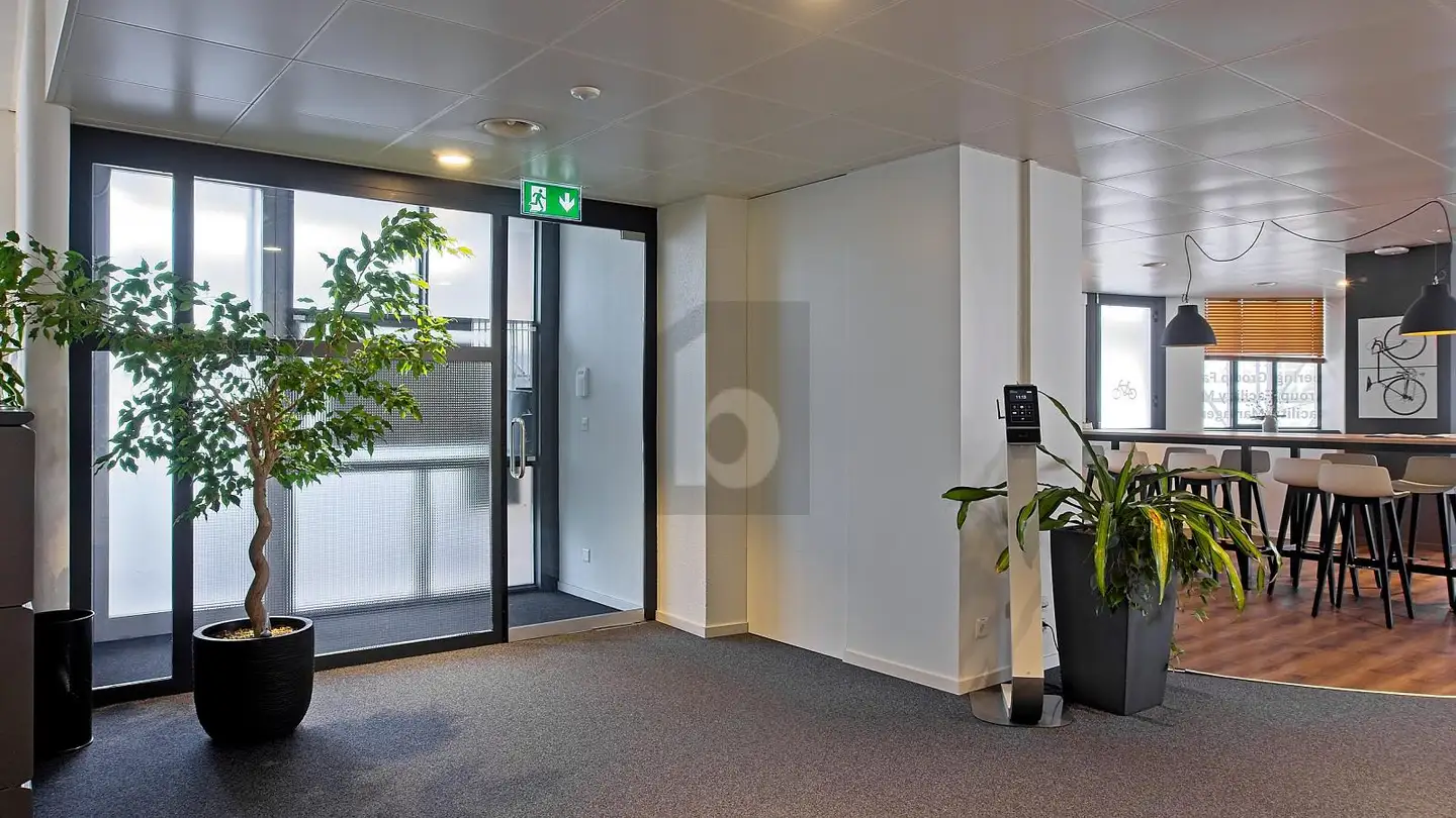 Office space for rent - 4051 Basel - Photo 3