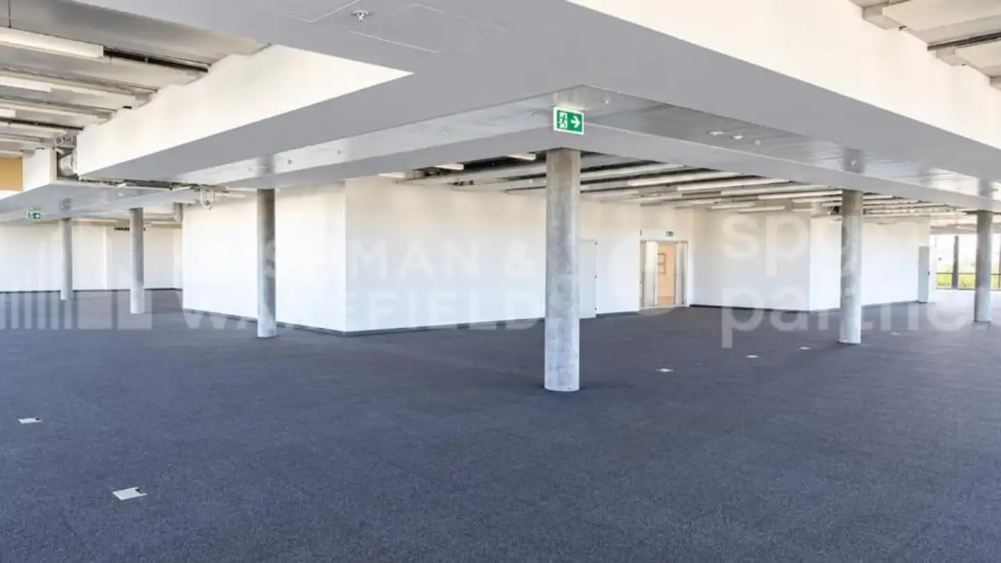 Gewerbe mieten - Route De La Galaise 36, 1228 Plan-les-Ouates - Foto 4