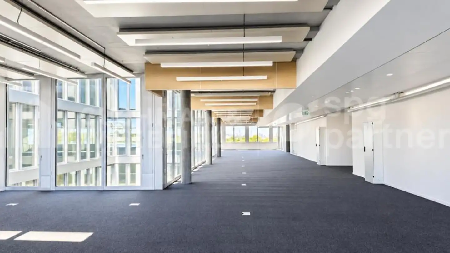 Gewerbe mieten - Route De La Galaise 36, 1228 Plan-les-Ouates - Foto 2