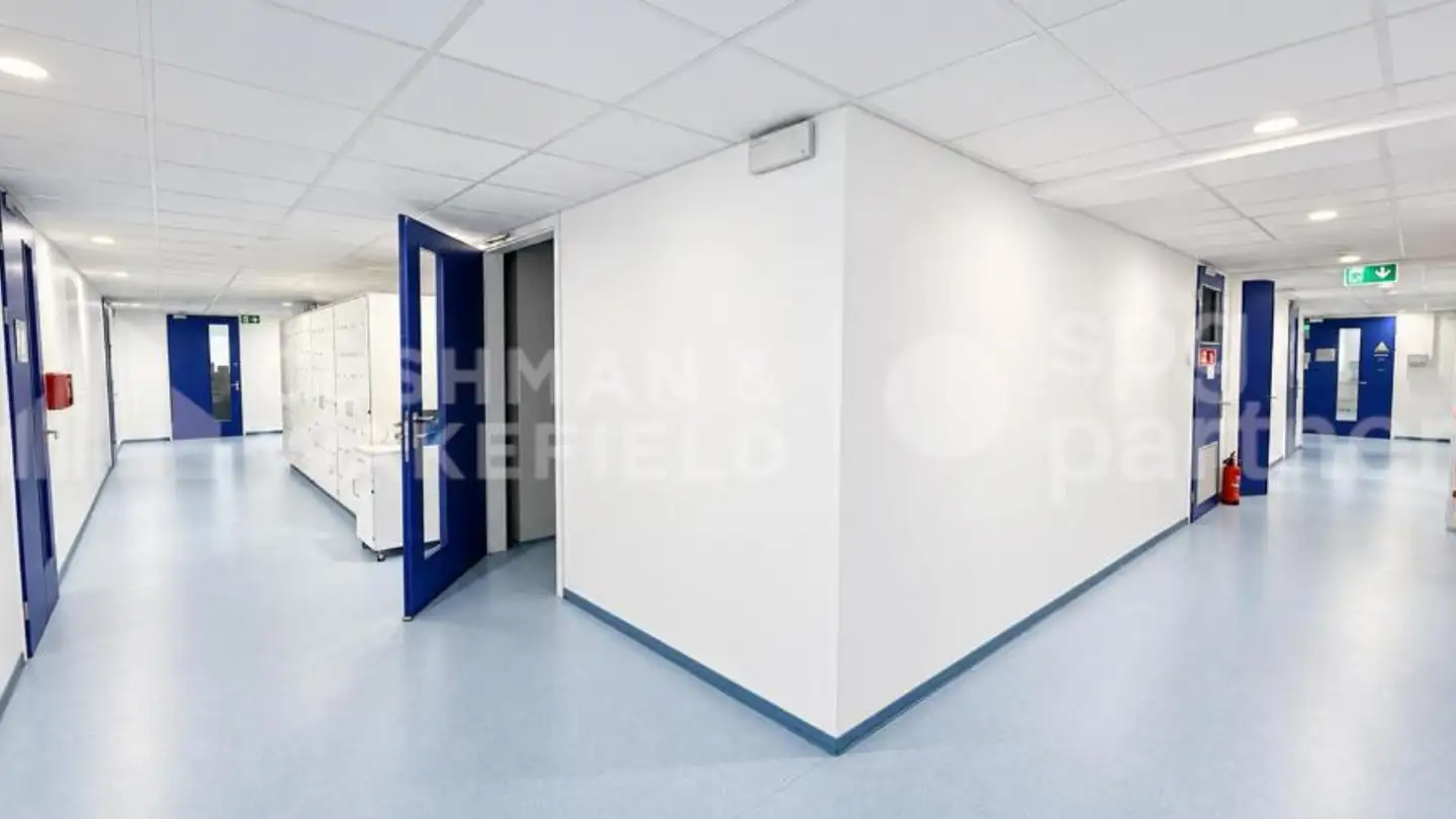 Gewerbe mieten - Chemin Des Aulx 14, 1228 Plan-les-Ouates - Foto 4