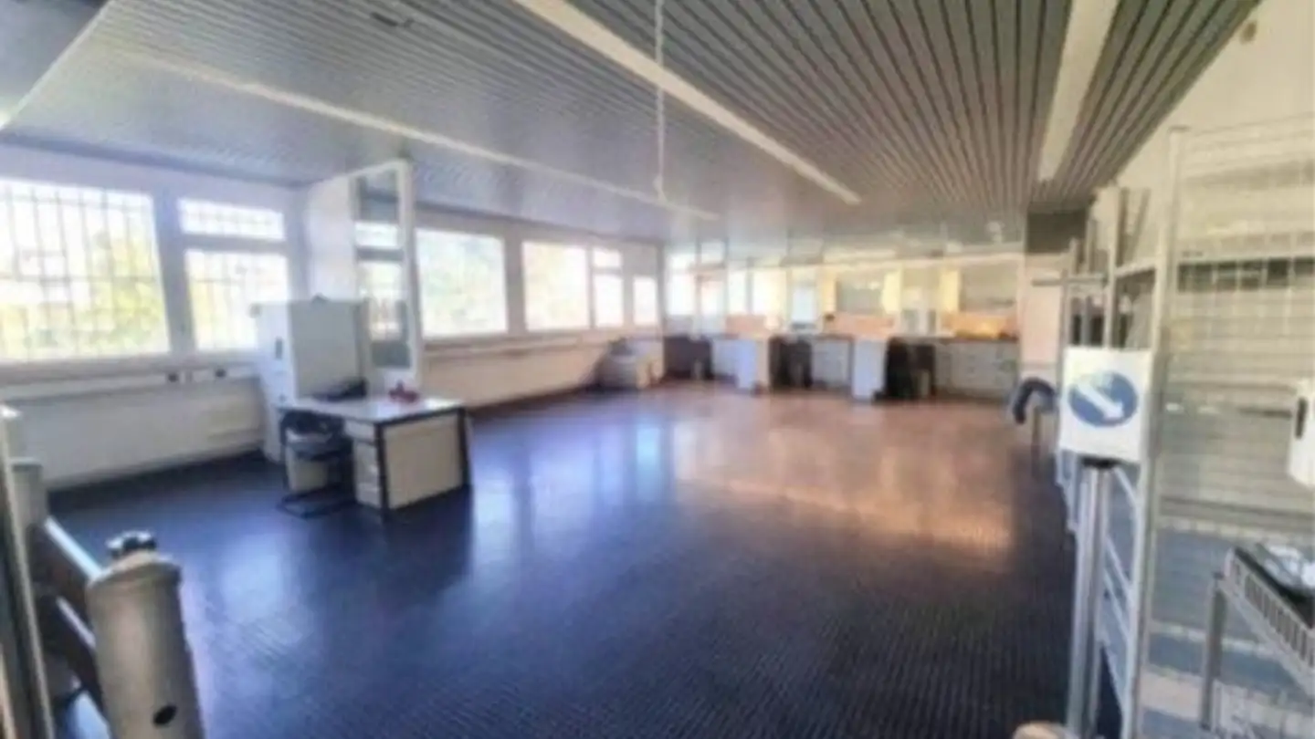 Commercial à louer - Bahnhofstrasse 18, 5605 Dottikon - Photo 2