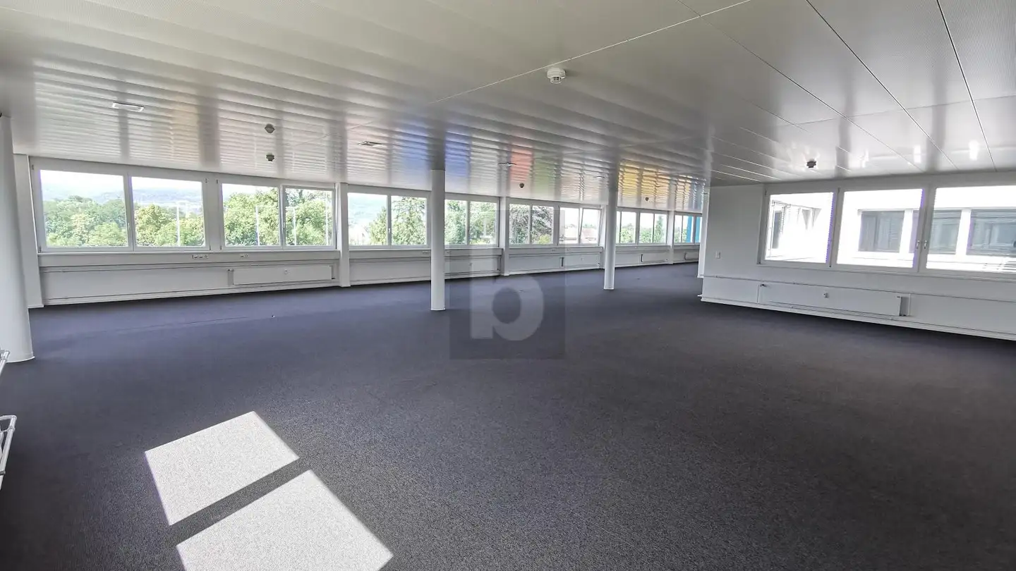 Office space for rent - 4133 Pratteln