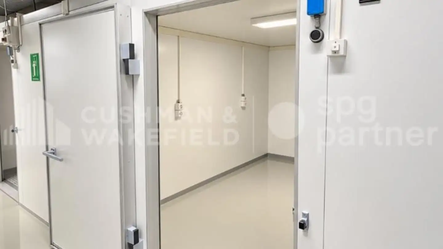 Commercial à louer - Chemin Des Aulx 14, 1228 Plan-les-Ouates - Photo 2
