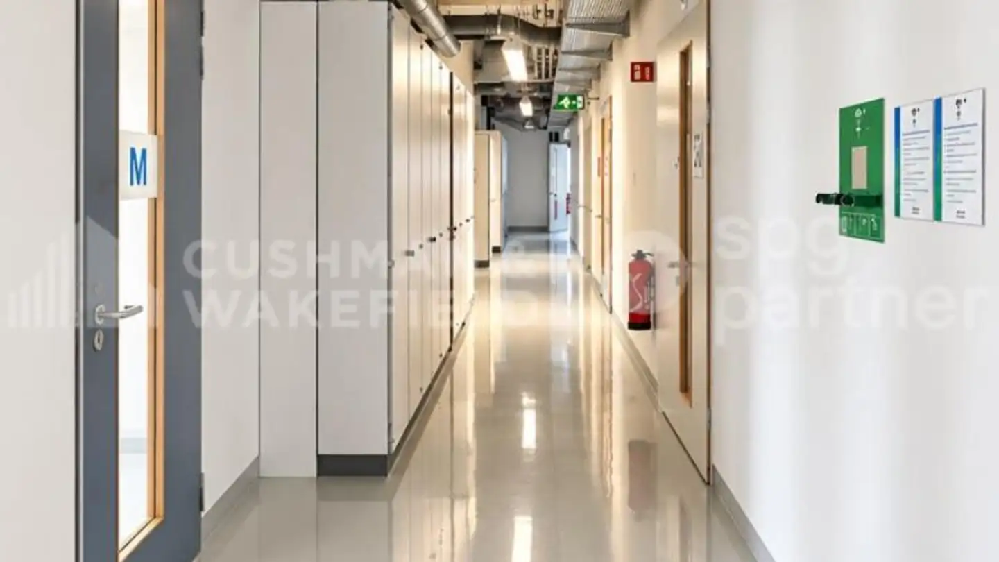 Office space for rent - Chemin Des Aulx 14, 1228 Plan-les-Ouates - Photo 4