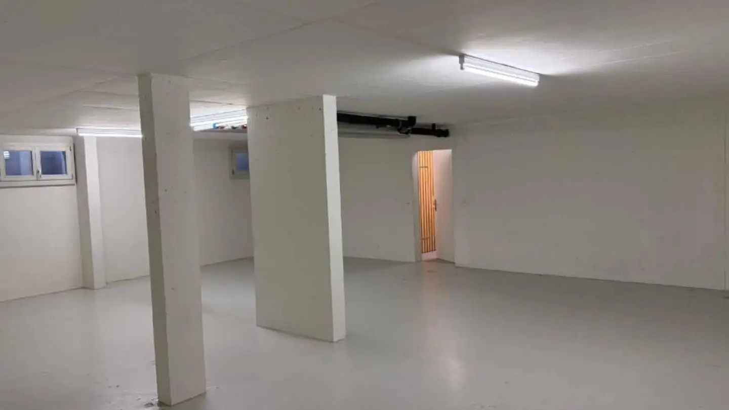 Lagerraum mieten - Chemin Des Rayes 3, 1222 Vésenaz - Foto 4