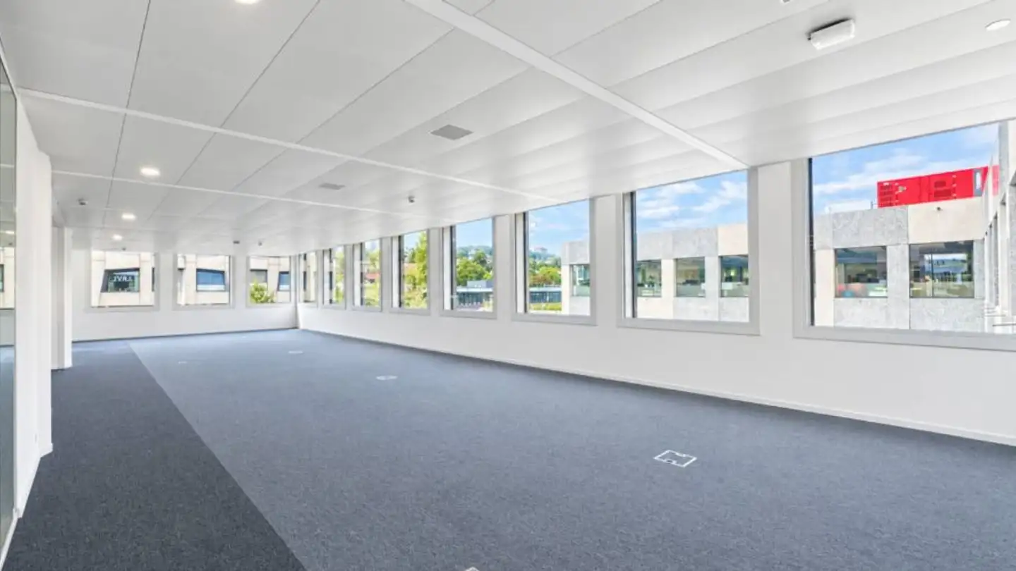 Gewerbe mieten - 1010 Lausanne