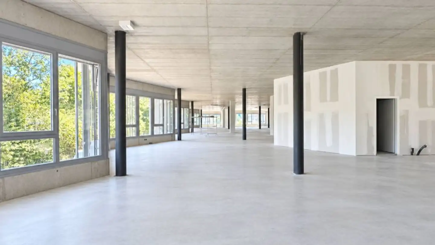Gewerbe mieten - 1003 Lausanne