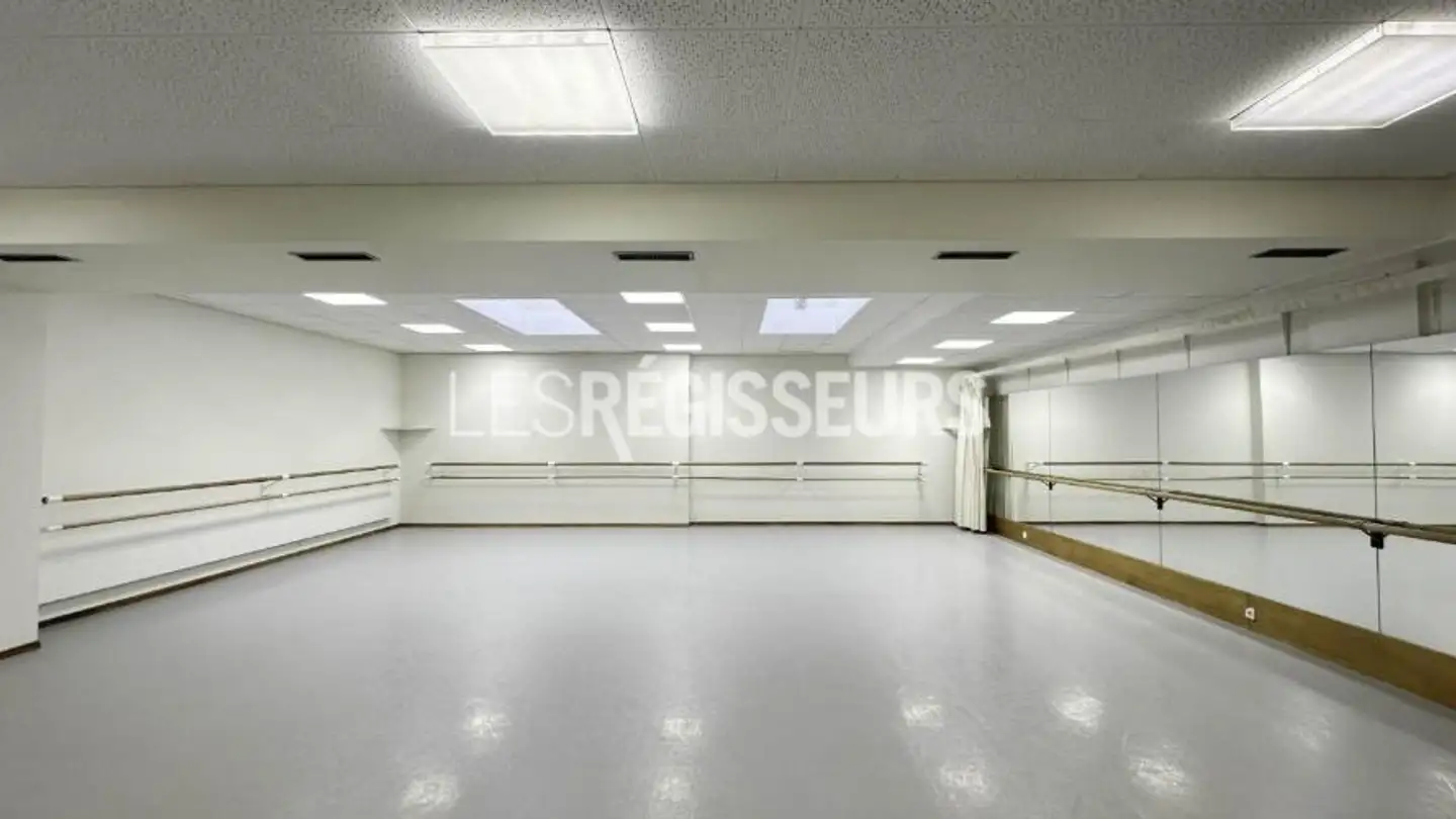 Commercial à louer - Rue Pictet-De-Bock 9, 1205 Genève - Photo 2