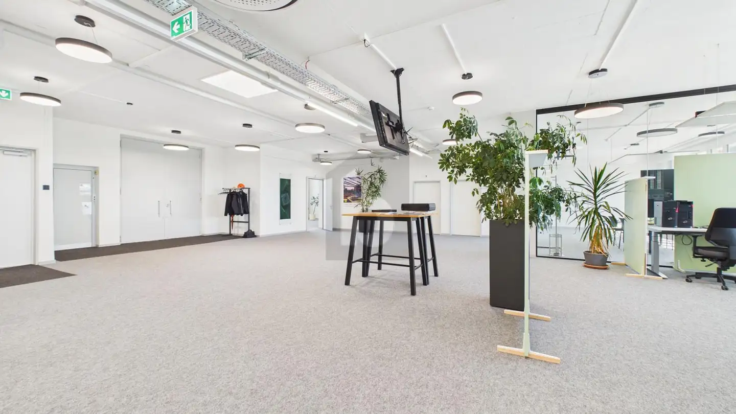 Office space for rent - 4600 Olten - Photo 2