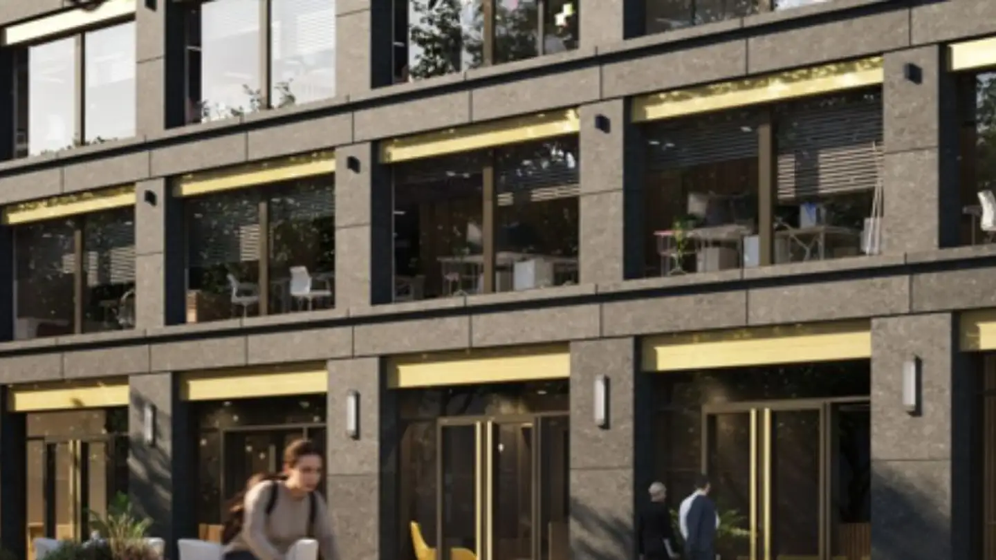 Spazio ufficio in affitto - Rue Peillonnex 39, 1225 Chêne-Bourg - Foto 4