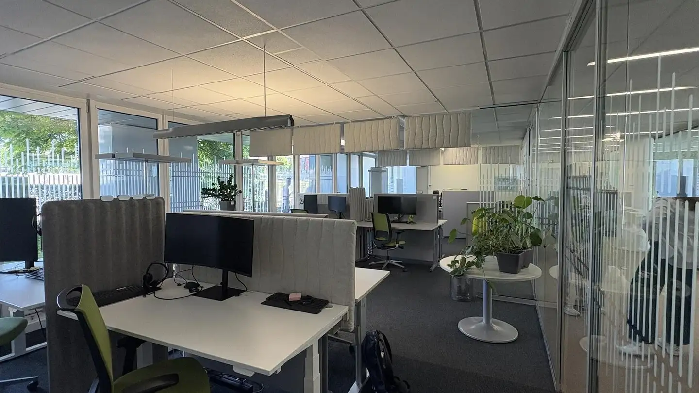 Bürofläche mieten - Alte Winterthurerstrasse 14, 8304 Wallisellen - Foto 3