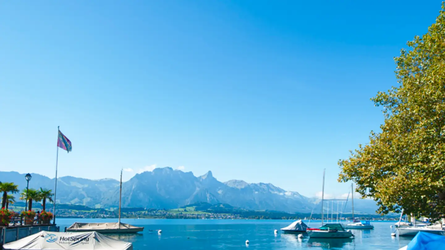 Magasin à louer - Staatsstrasse 4, 3653 Oberhofen am Thunersee - Photo 4