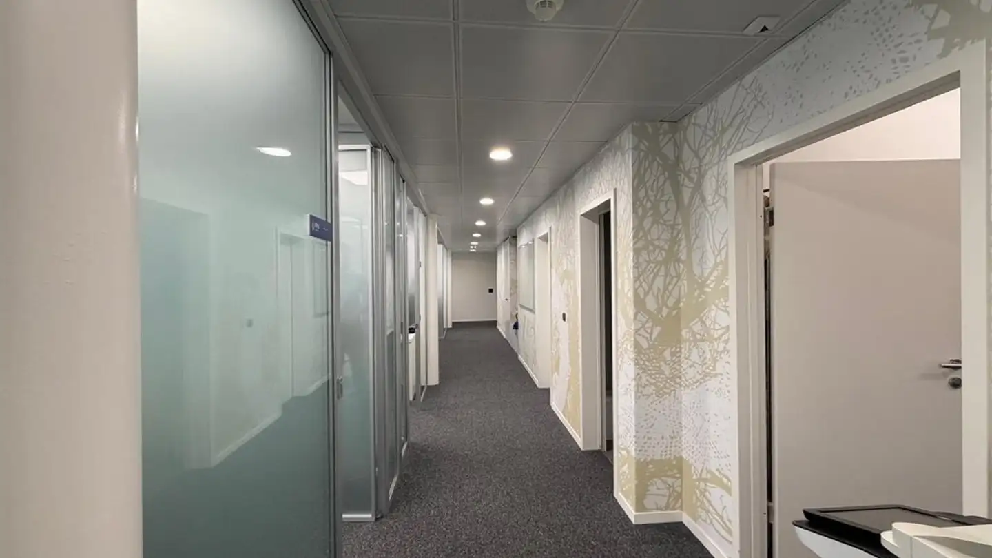 Office space for rent - Via Serafino Balestra 17, 6900 Lugano - Photo 2