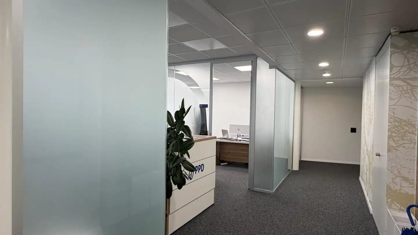 Office space for rent - Via Serafino Balestra 17, 6900 Lugano - Photo 4