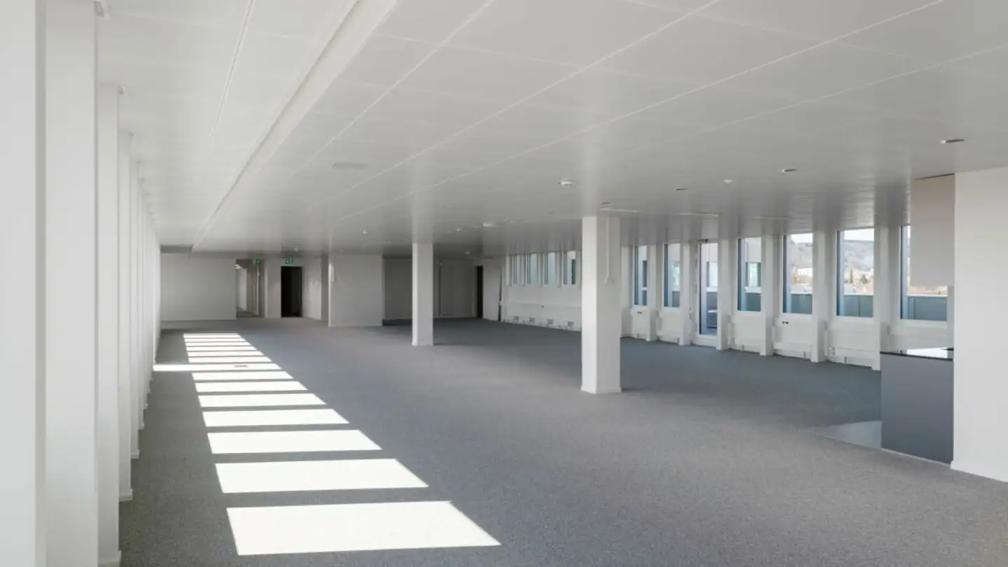 Bürofläche mieten - Friesenbergstrasse 75, 8055 Zürich - Foto 2