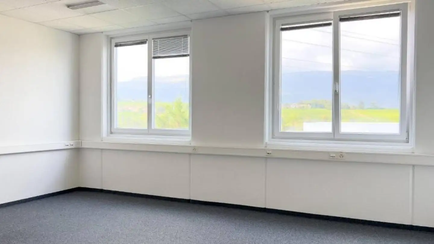 Office space for rent - Rue Du Pré-De-La-Fontaine, 1217 Meyrin - Photo 2