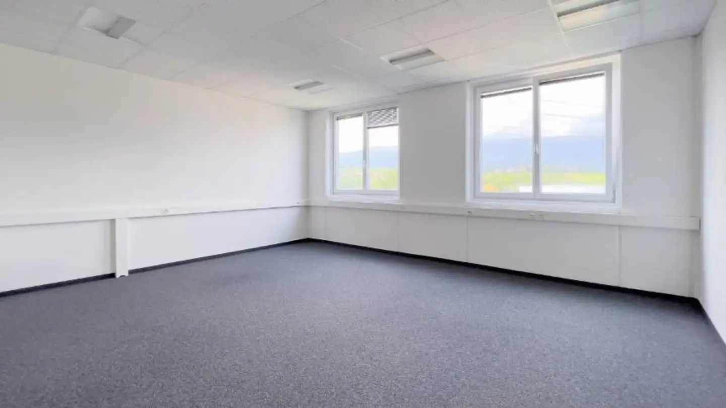 Office space for rent - Rue Du Pré-De-La-Fontaine, 1217 Meyrin - Photo 3