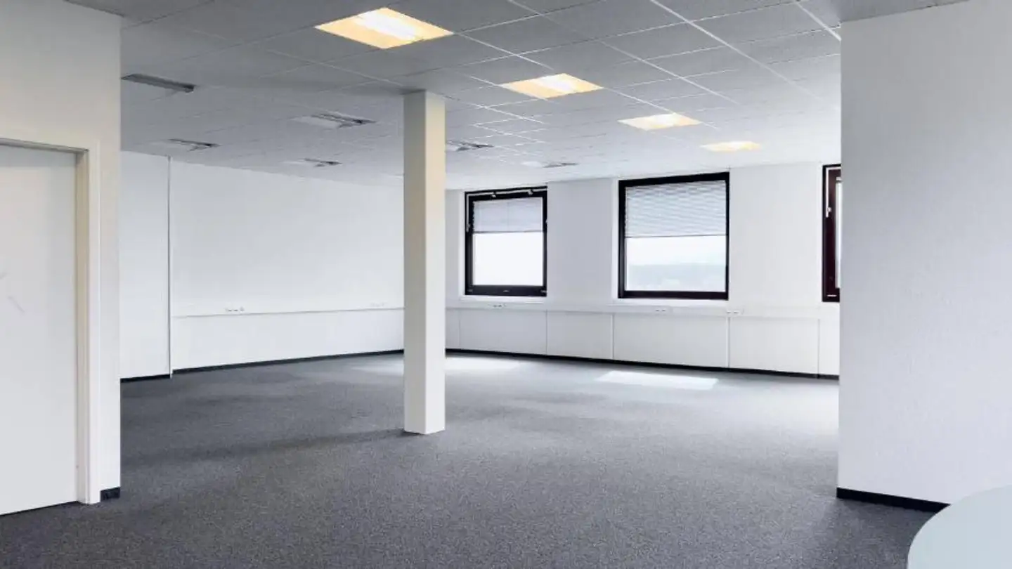 Office space for rent - Rue Du Pré-De-La-Fontaine, 1217 Meyrin - Photo 4